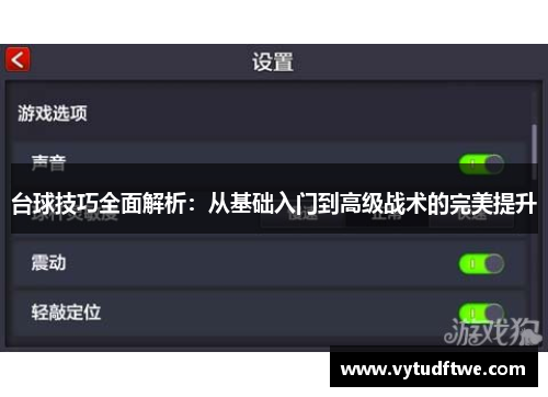 台球技巧全面解析：从基础入门到高级战术的完美提升